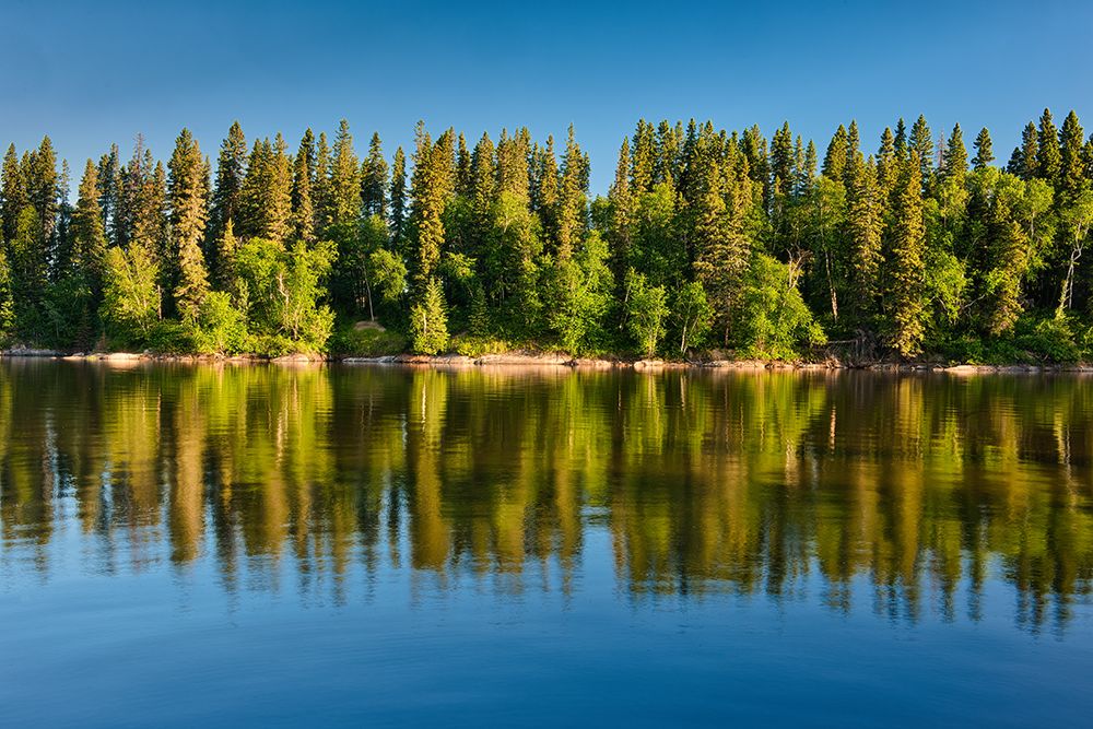 Canada- Manitoba- Paint Lake Provincial Park. Forest reflections on Paint Lake. art print by Jaynes Gallery for $57.95 CAD